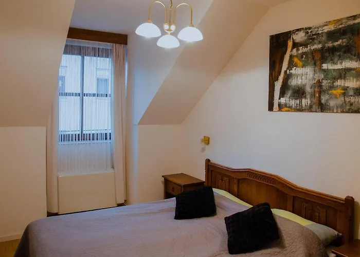 Hotel Splavar Brezice